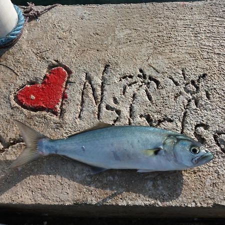 Apartment "I Love Njivice" Herceg Novi Exteriör bild