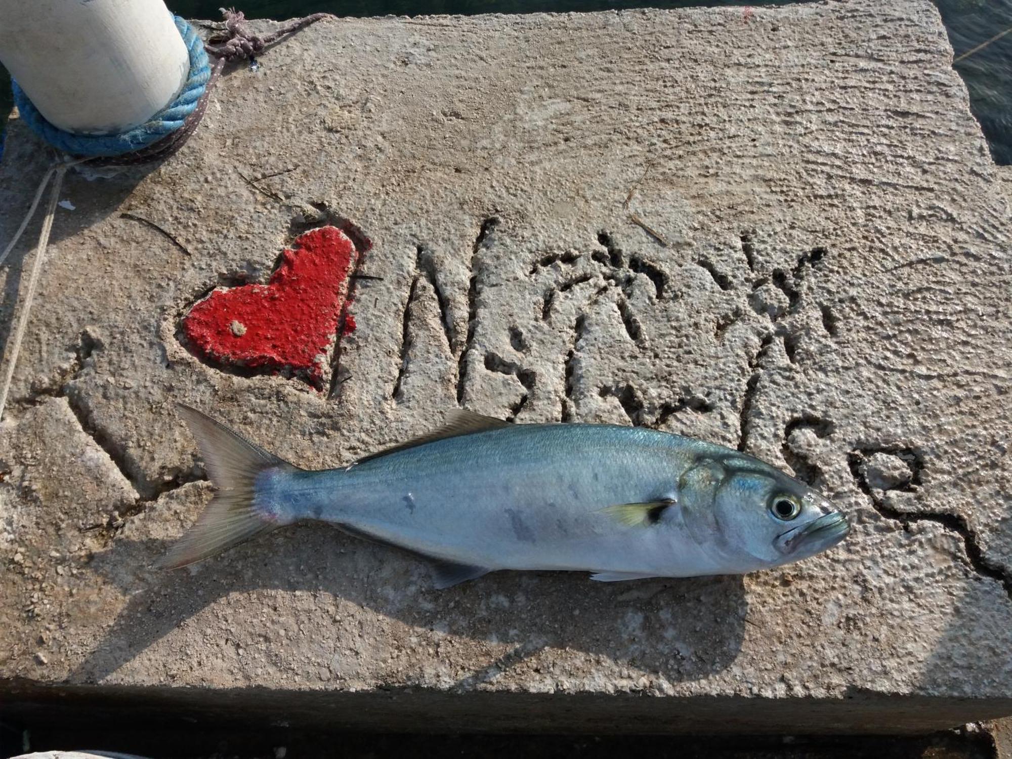 Apartment "I Love Njivice" Herceg Novi Exteriör bild